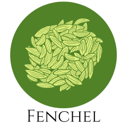 Icon von Fenchelsamen – Gewürzkarte Hinweis auf Fenchel.