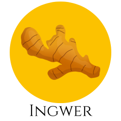 Icon einer frischen Ingwerwurzel – Gewürzkarte Hinweis auf Ingwer.