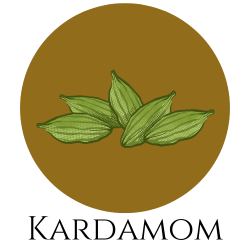 Icon von grünen Kardamomkapseln – Gewürzkarte Hinweis auf Kardamom.