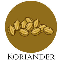 Icon von Koriandersamen – Gewürzkarte Hinweis auf Koriander.