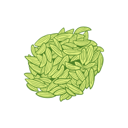 Fenchel-Samen Icon