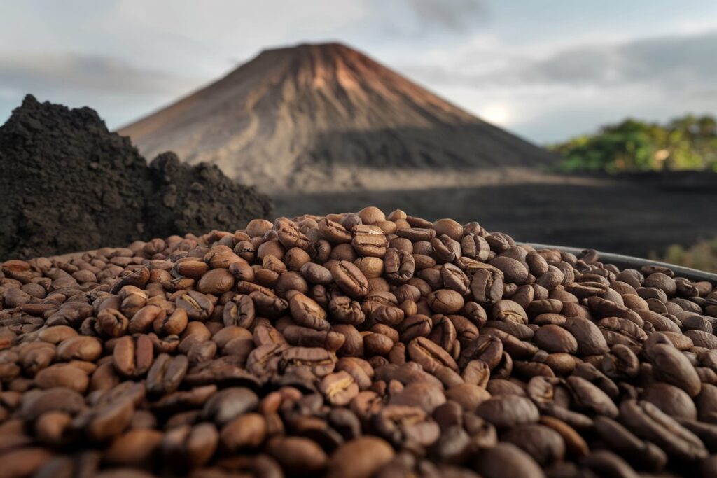 Geröstete Kaffeebohnen auf getrockneter Lava mit einem Vulkan im Hintergrund.