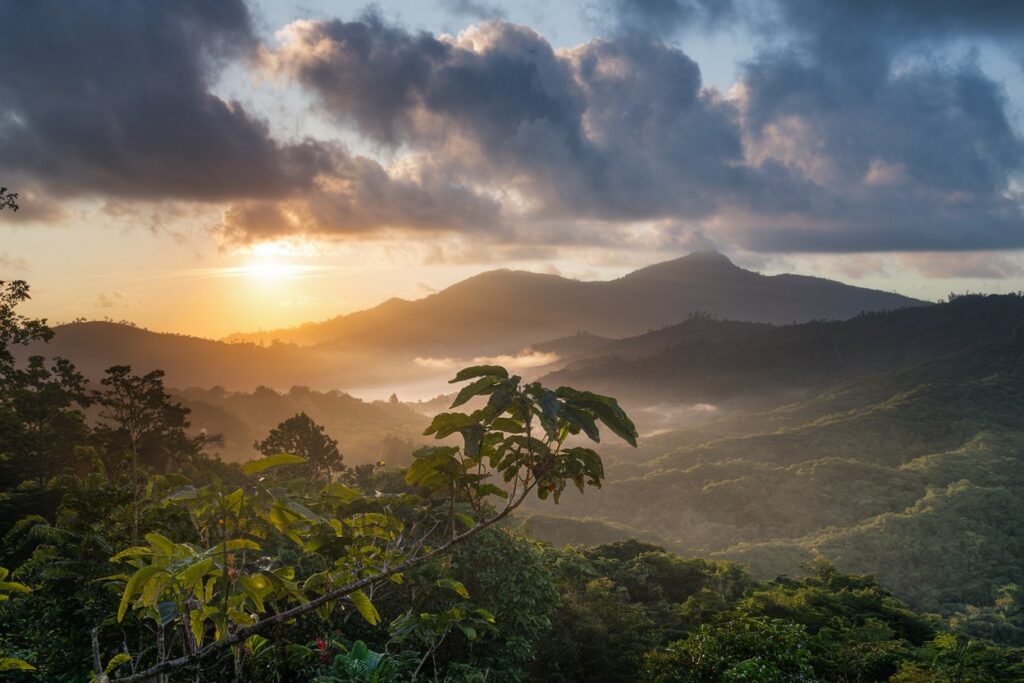 Die grünen Berge der Jamaika Blue Mountains, wo der berühmte Jamaica Blue Mountain Kaffee angebaut wird.