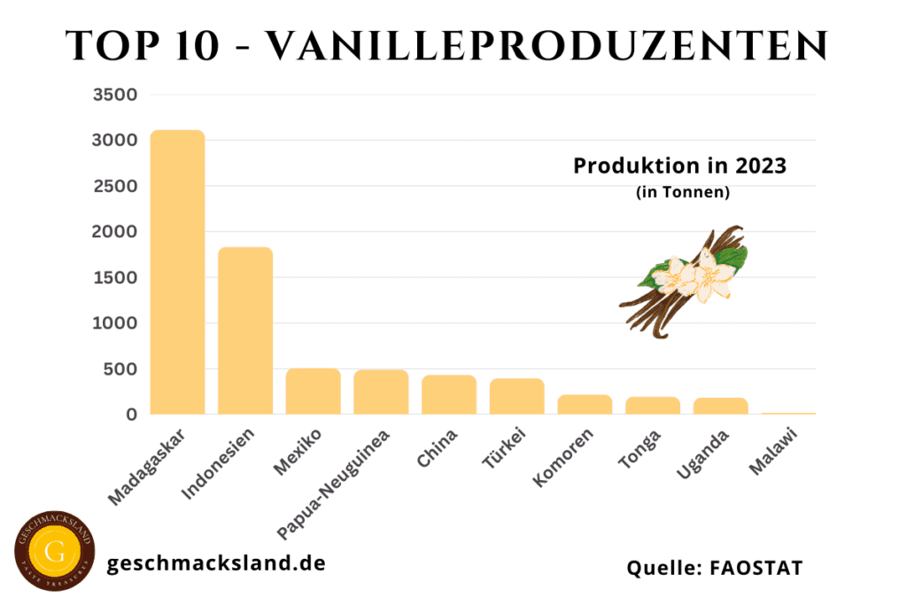 Grafik der Top 10 Vanilleproduzenten weltweit im Jahr 2022, mit Madagaskar als größtem Produzenten, gefolgt von Indonesien und Mexiko.